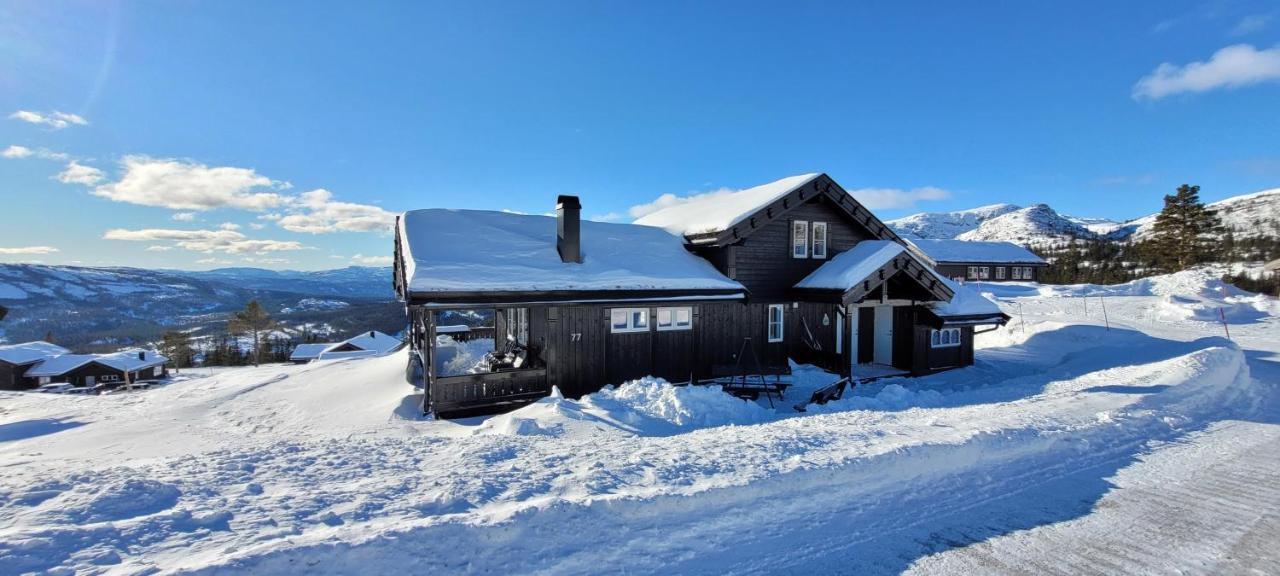 Wonderful Cabin With Amazing Mountain - View Villa Lifjell Esterno foto