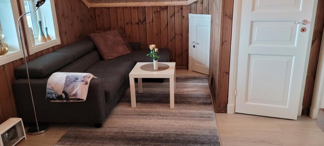 Wonderful Cabin With Amazing Mountain - View Lifjell Esterno foto