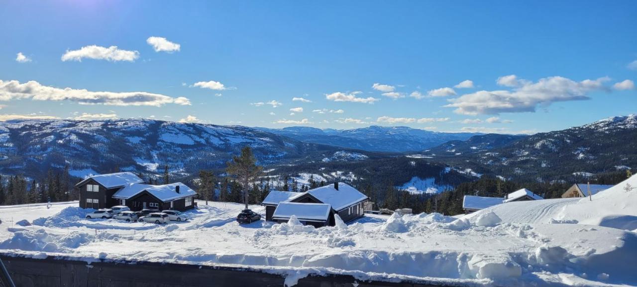 Wonderful Cabin With Amazing Mountain - View Villa Lifjell Esterno foto