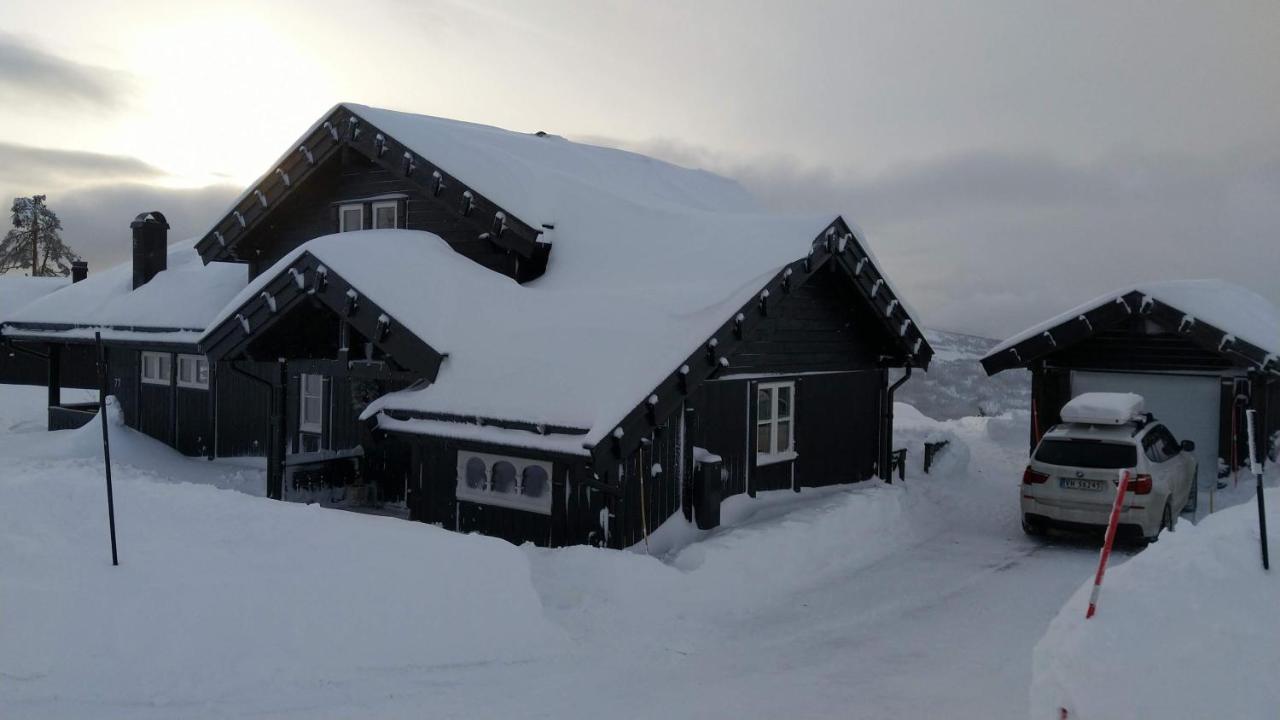 Wonderful Cabin With Amazing Mountain - View Villa Lifjell Esterno foto