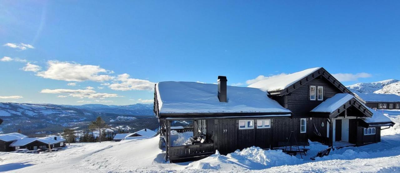 Wonderful Cabin With Amazing Mountain - View Villa Lifjell Esterno foto